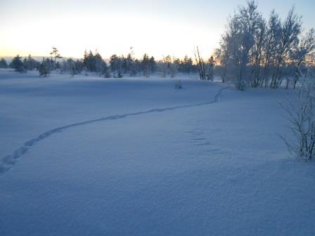 DSCN0610.JPG