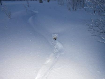DSCN0608.JPG