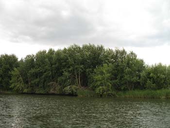 IMG_1662.jpg