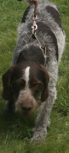 IMG_7563.JPG