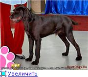 8753ff8fa7c3t.jpg