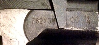 8667842.jpg