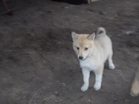 DSCN0678.jpg