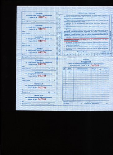 лицензия 002.jpg