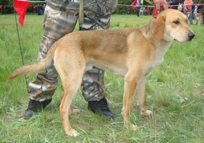 мл м 2 Шугай Пономарев НН.JPG